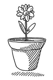 Hand Drawn Vector Drawing Of A Beautiful Nature Landscape And A Pflanzenzeichnung Topfblumen Blumenzeichnung