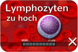 Zu Viele Lymphozyten Blutwert Lymph Erhoht Zu Hoch Lymphozytose
