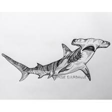 Black And White Hammerhead Shark Tattoo Hammerhead Shark Ink On Paper C Mine Suurballe See More At Https Instagram Com Mine Hs Shark Drawing Sketch Anim Shark Drawing Shark Art Shark Tattoos