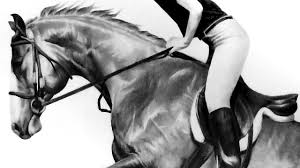 Equestrian sport horse jumping vector abstract illustration background. Drawings Of Horses Jumping Novocom Top