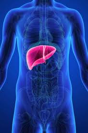 My enzymes after one week of keto seem to have gone up slightly: Liver And Cholesterol What S The Link
