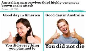 Australia vs america australia funny australian memes. 28 Funny Crazy Meme Pictures Meanwhile In Australia Reckon Talk