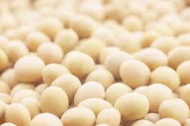 I hope you enjoy this video and walk away with som. How To Harvest Chickpeas