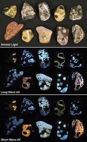 Fluorescent Minerals And Rocks They Glow Under Uv Light