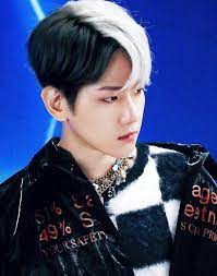 Here Are The Most Popular K Pop Idols In Japan Baekhyun Kpop Idol Kpop