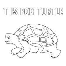 When it gets too hot to play outside, these summer printables of beaches, fish, flowers, and more will keep kids entertained. Top 20 Free Printable Turtle Coloring Pages Online