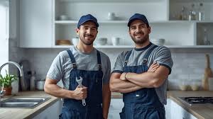 Why Choose Experienced Professional Plumbers for Your Home Needs - Have a  Go News