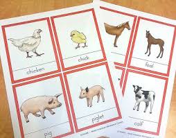 Pin By Adrienne Griffitts On Slp Misc Themes Baby Farm Animals Baby Animal Names Baby Animals
