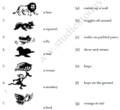 Some of the worksheets displayed are mathematics work, english activity book class 3 4, english test paper class i name class sec why did the, work date class, ccoonntetentntss, 1 join the dots to make squares rectangles house car. Cbse Class 3 English Practice Worksheet How Creatures Move Set A