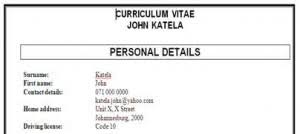 The resume will be tailored to each position whereas the curriculum vitae will stay put and any changes will be in the cover letter. Free Professional Cv Templates Student Companionstudent Companion