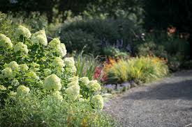 Check spelling or type a new query. 9 Fall Shrubs That Will Transform Your Garden P Allen Smith