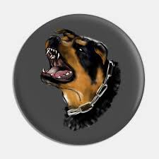 Maybe you would like to learn more about one of these? Angry Dog Rottweiler Pin Teepublic De