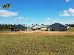 Maybe you would like to learn more about one of these? Two Breeder House Farm On 34 Ac Land For Sale In Ashford Houston County Alabama 136815 Landflip