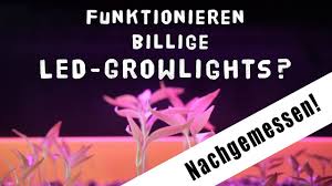 Man kann sich hier aber mit pflanzenlampen behelfen. Taugen Billige Wachstums Leds Growlights Spektrum Nachgemessen Growbox Youtube
