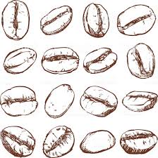 Coffee Bean Isolated Hand Drawn Vector How To Draw Hands Coffee Illustration Coffee Beans