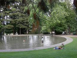Add carousel 3d family pool add add carousel 3d family pool to basket. Wading Pool Wiktionary