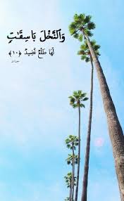 Pin By Ahmed Ashraf On My Quran Cards Photo Quran Amazing