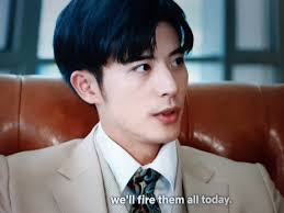 Chinese Fables of Wealth and Power: The TV Drama Well-Intended Love