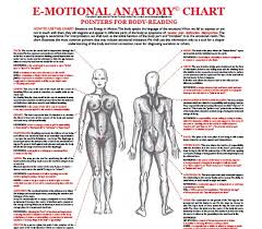 Emotional Anatomy Chart E Motional Anatomy Chart