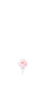 A collection of the top 51 donut phone wallpapers and backgrounds available for download for free. Spring Floral Iphone Wallpapers Ginger And Ivory