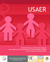 Directora de la dirección de calidad y desarrollo educativo. Pdf Usaer Libro Rojo Liliana Salazar Academia Edu