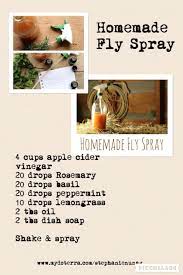 You can't use fly spray (made with essential oils) once a day and expect it to work, nan. Diy Homemade Fly Spray For Horses Doterraessentialoil Www Mydoterra Com Stephanienunag Fly Spray For Horses Homemade Fly Spray Fly Spray