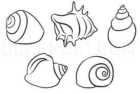 Maybe you would like to learn more about one of these? How To Draw Shells Step By Step Drawing Guide By Dawn Dragoart Com