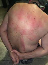 Bryce (3K) on Twitter: 