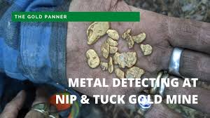 Are you curious about metal detecting, and wondering how deep a metal detector can go? The Gold Panner Metal Detecting At Nip Tuck Gold Mine Youtube