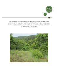 Image result for Cassipourea mollis