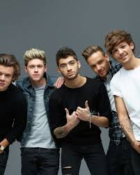 The members were niall horan (b. One Direction Louis Tomlinson Wiki Fandom