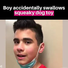 Boy accidentally swallows squeaky dog toy