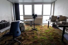 We found these buildings by accident and for good reason, i want to put out an unspoken caution to other urban explorers for this location. 20 Times Buildings And Territories Got Reclaimed By Nature Art Sheep