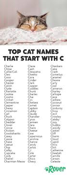The Top 105 Cat Names That Start With C For 2019 Kitten Names Boy Cat Names Cat Names