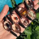 Pulsera de resina con insectos reales: escorpión, escarabajo, araña y  cangrejo