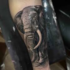 Cat portrait tattoos, animal tattoos, cat face tattoos. Tattoo Artist Daniel Bedoya Inkppl