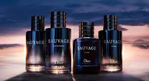 Sauvage: the world of the iconic Dior fragrance for men | DIOR US