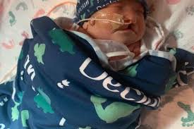 Fundraiser for Amanda Koegler by Ashleigh Klausman : Sweet Declan