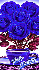 Check spelling or type a new query. Pin By Sandip Soni On Good Morning Good Morning Images Flowers Good Morning Image Quotes Good Morning Flowers