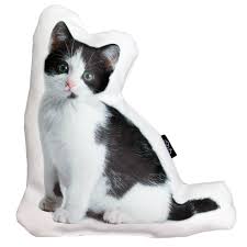 Percy Yavru Kedi Yastik Sanki Koltugunuzda Gercek Bir Kedi Oturuyormus Hissi Yaratarak Kullandiginiz Ortamda Bir Sicaklik Yaratir Kedi Yavru Kediler Kirlent