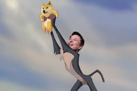 Elon Musk Now Wants A Pet Shiba Inu After Obsessing Over Meme Cryptocurrency Dogecoin
