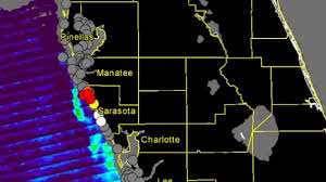 High Concentrations Of Red Tide Detected Again In Sarasota