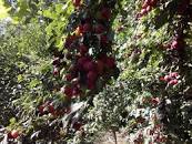 نتیجه تصویری برای لیوانی ک توش آب خوردی رو به یادگار دارم