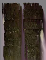 Selection Of The New College President