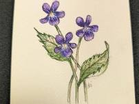 Intro to Watercolor: Painting Native Flowers