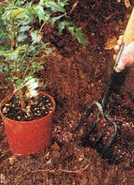 Ein teil des wachstums eines erfolgreichen gartens ist die bodenbewirtschaftung. Lehmboden Im Garten Sandboden Und Sumpfgelande