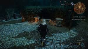 A matter of life and death is a secondary quest in the witcher 3: A Matter Of Life And Death The Witcher 3 Walkthrough