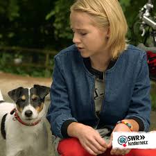 Pin On Pets Group Board