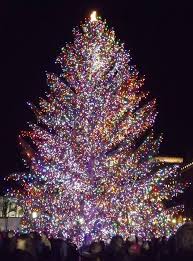Highlands Nc My Hometown Christmas Outdoor Christmas Tree Outdoor Christmas Lights Purple Christmas Tree