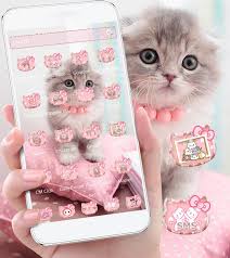 Cute kitten taking photo neon sign. Pink Cute Kitty Cat Theme Apk 1 2 4 Download For Android Download Pink Cute Kitty Cat Theme Apk Latest Version Apkfab Com